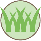 Ashburn Lawn Mowing
