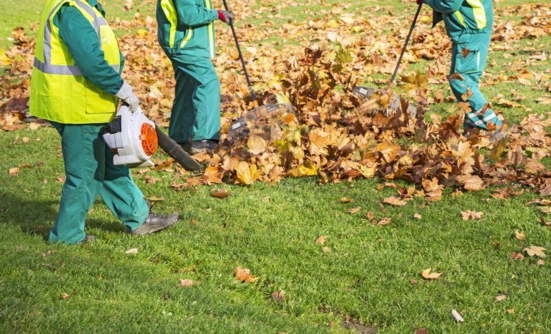 Leaf and Debris Removal