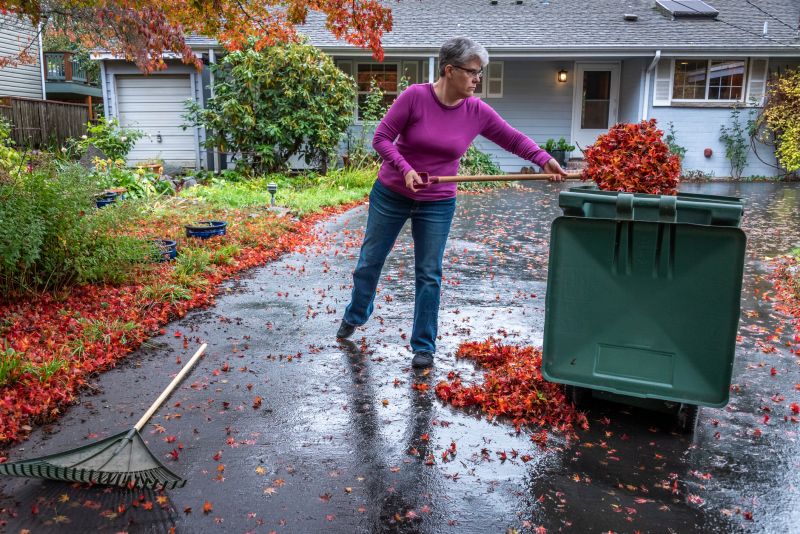 Garden Bed Preparation