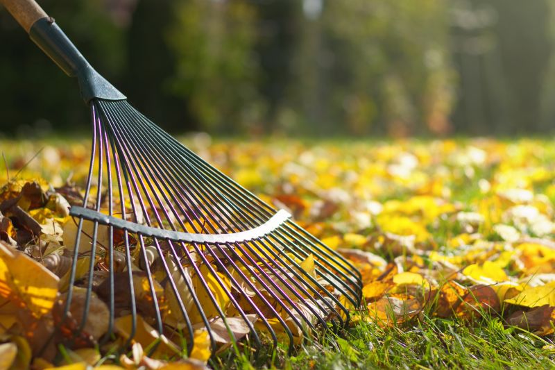 Leaf Raking Techniques