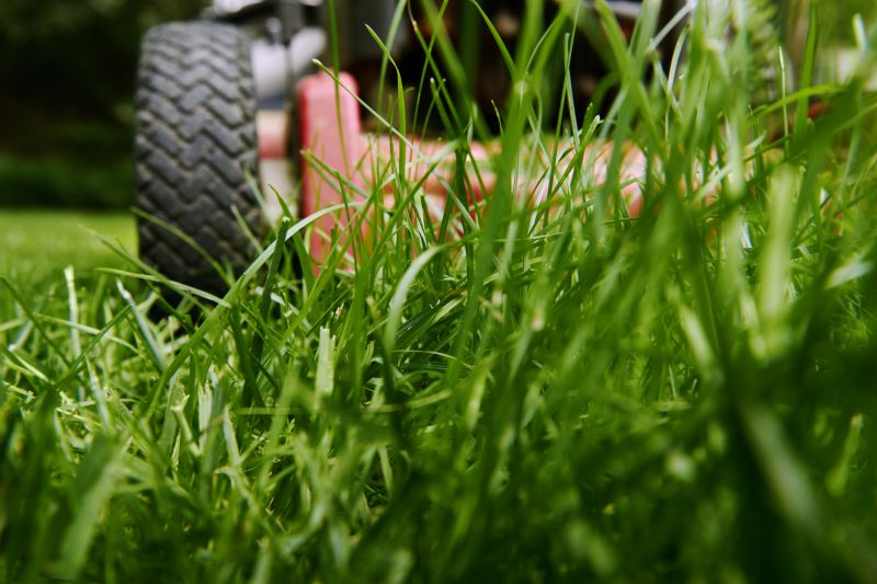 Lawn Cutting Service detail