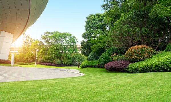 Cost of Commercial Lawn Mowing in Ashburn