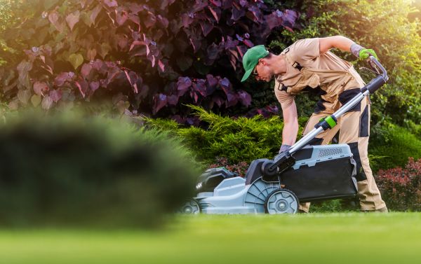 Yard Care Service in Ashburn