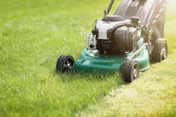 Yard Cutting in Ashburn