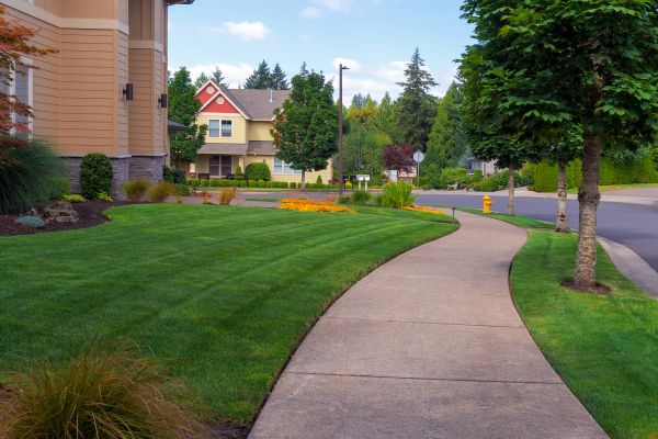 Home Lawn Maintenance in Ashburn