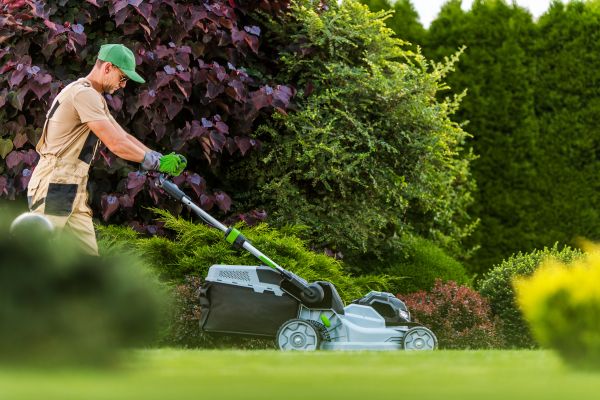Lawn Management in Ashburn