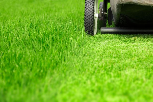 Weekly Lawn Care in Ashburn