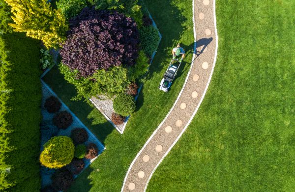 Mowing And Landscaping in Ashburn