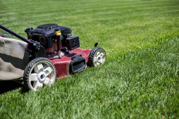 Routine Lawn Care in Ashburn