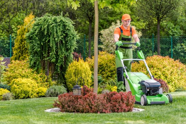 Cost of Commercial Yard Maintenance in Ashburn
