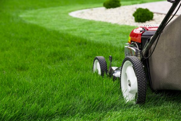 Lawn Trimming in Ashburn