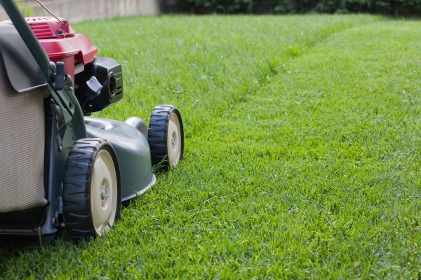 Summer Lawn Care in Ashburn