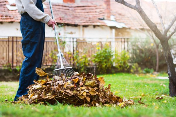 Cost of Routine Lawn Maintenance in Ashburn