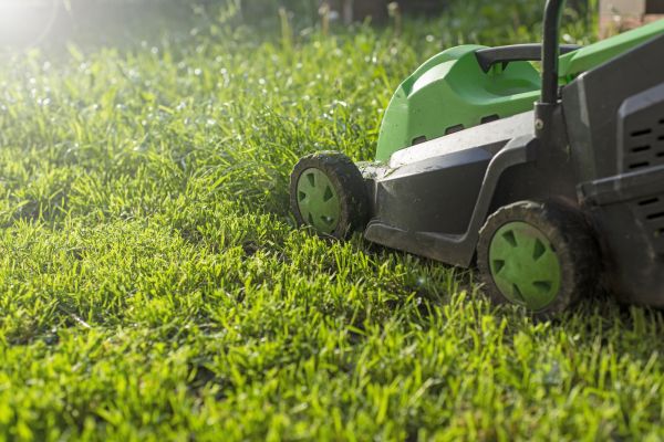 Yard Trimming in Ashburn