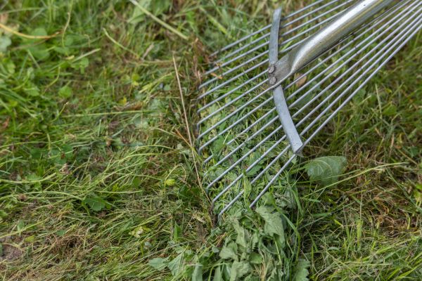 Thatch Raking in Ashburn