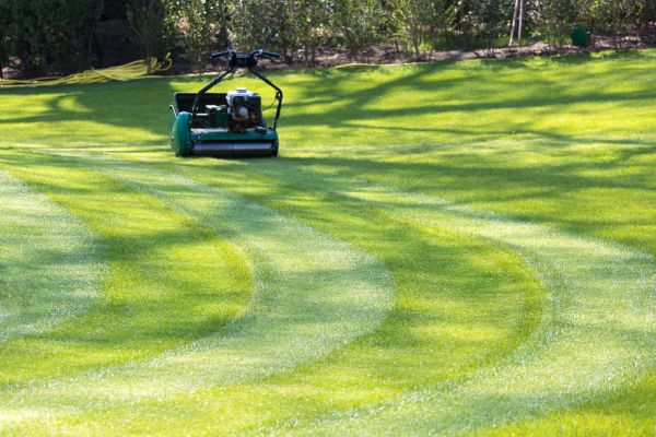 Cost of Business Lawn Mowing in Ashburn