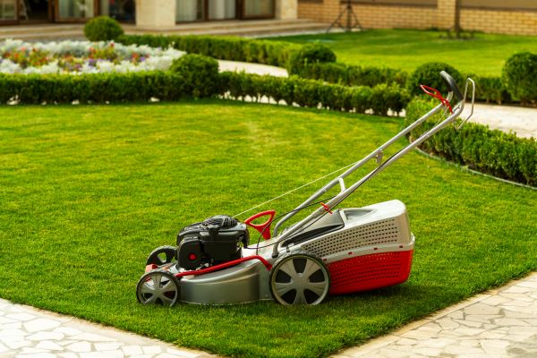 Cost of Business Grass Cutting in Ashburn