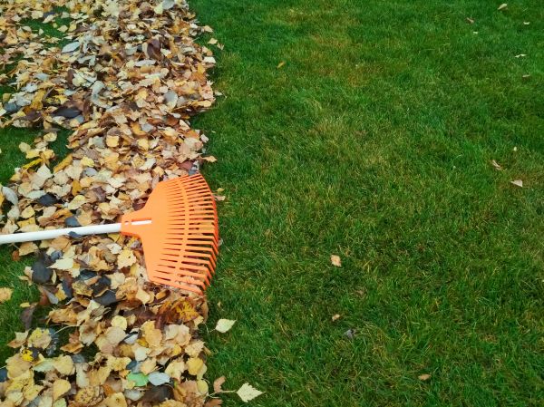 Fall Lawn Care in Ashburn