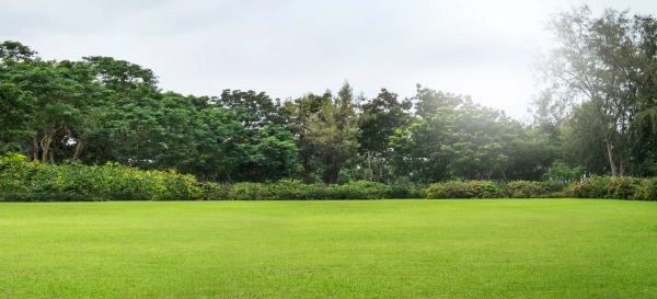 Cost of Golf Course Mowing in Ashburn