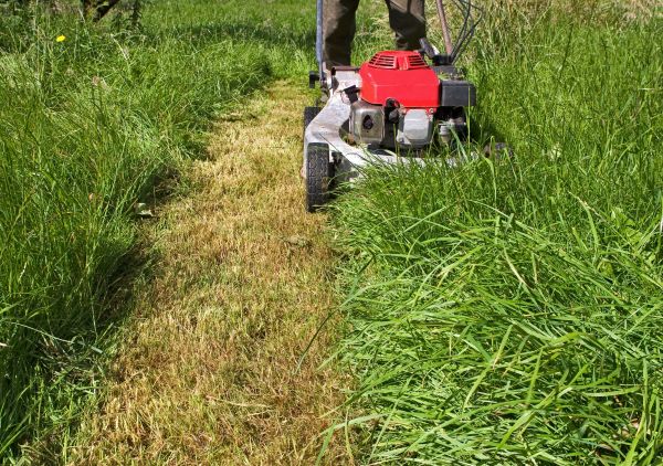 Leaf Mowing in Ashburn