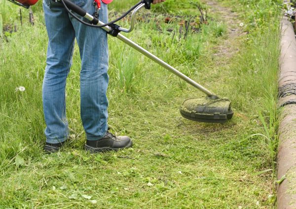 Tall Grass Trimming in Ashburn
